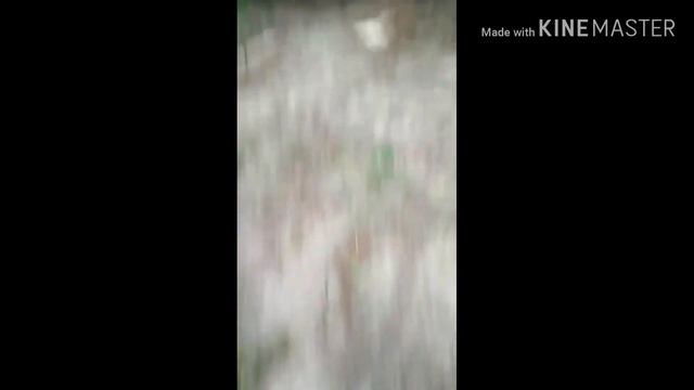 Вот это ёлка