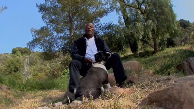 John Amos "We Were Hippies" смотреть онлайн