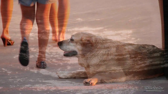 Lounge Красивая музыка Лаунж