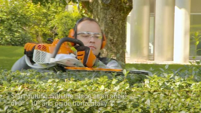 STIHL HS 56 C-E ꘡ How to cut horizontal with a petrol hedge trimmer | STIHL Tutorial смотреть онлайн