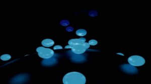 Павел Кашин — На Луне