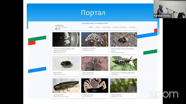 Презентация книги "Инвазивные растения и животные Карелии" смотреть онлайн