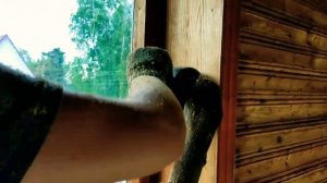 ? Чем очистить деревянное окно от краски,спец щетка АБАЖУР® +79505999959