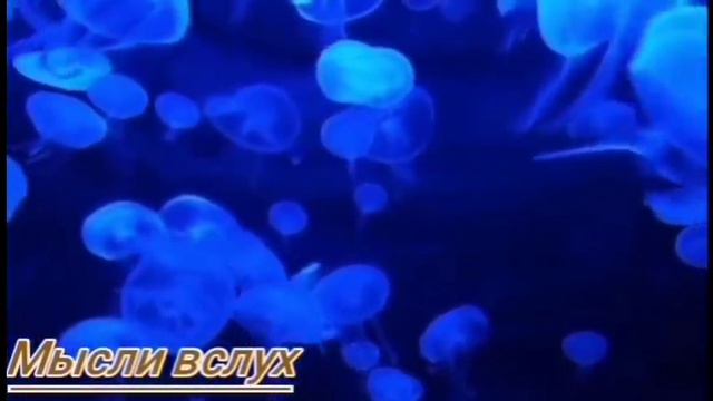 2 Самвел Ад довели)Спиногрыз захребетник.Не всем по вкусу такие пирожки.Куда поставила платье?