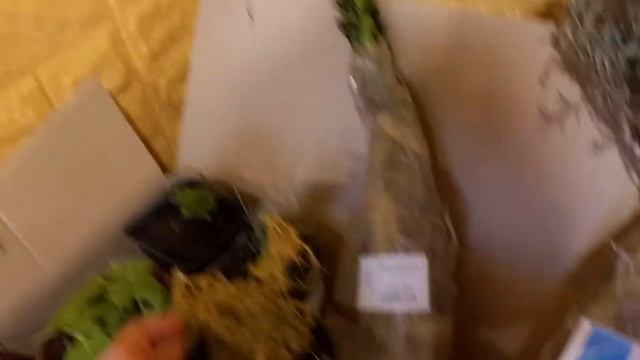 Посылка из Агромаркет.Альпийская горка.Осень 2021 год. смотреть онлайн