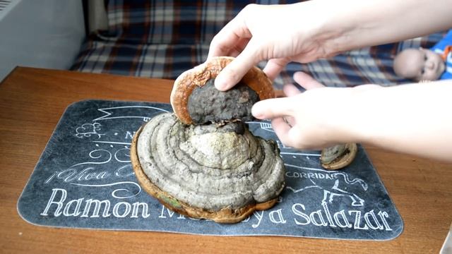 DIY. Поделки из овощей и природных материалов для детского сада (iшколы) смотреть онлайн