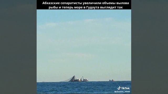 Абхазские сепаратисты увеличили объемы вылова рыбы, и теперь море в Гудаута выглядит так смотреть онлайн