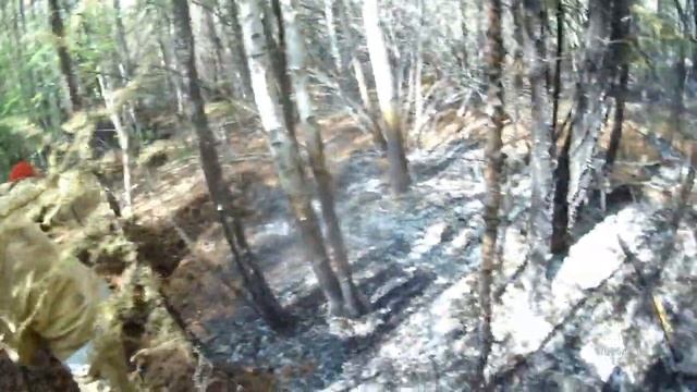 Как тушат лесные пожары в Якутии 2021 смотреть онлайн