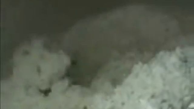 Отделитель сыворотки смотреть онлайн
