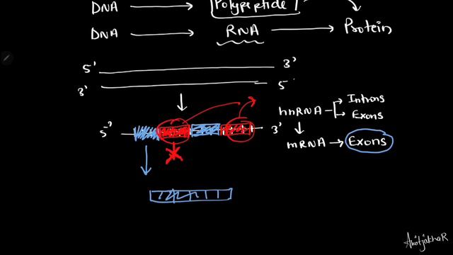 NEET Biology: Understanding Gene and Cistron Concepts Simplified смотреть онлайн