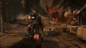 Rise of the Tomb Raider (Мод «Обнажённая стелс Лара»)