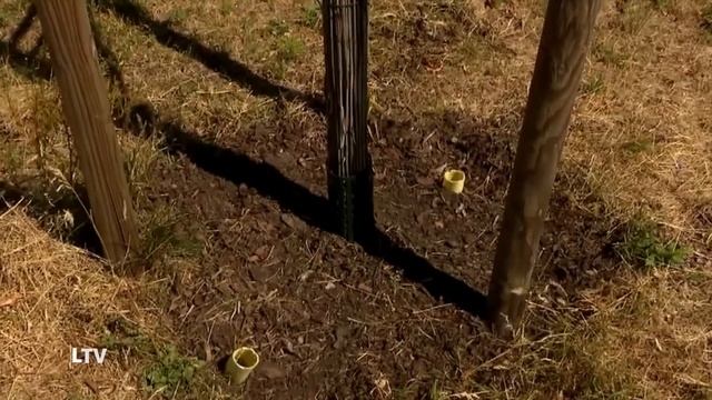 Vai izdosies? Jūsu likmes / LV augsto cenu bezgala spirāle / Sīkumi, no kuriem sastāv mūsu dzīve смотреть онлайн