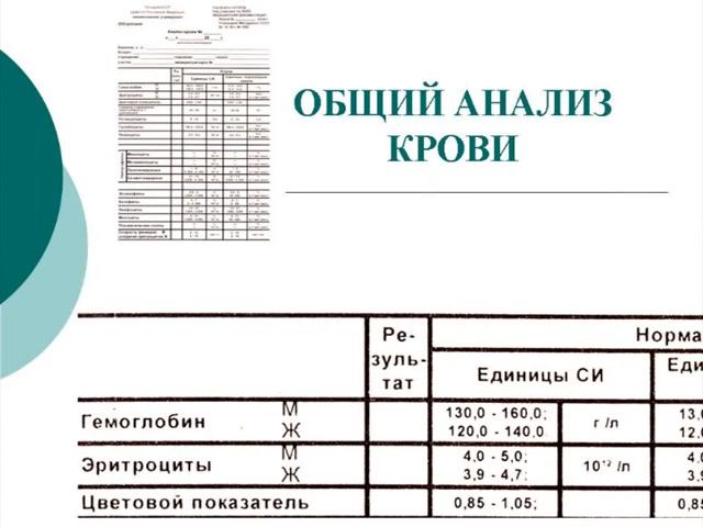 Общий анализ крови
