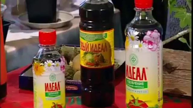 Уход за рассадой смотреть онлайн