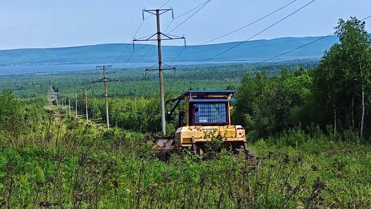 Противопожарные работы в лесу - прочистка бульдозером минполосы в районе озера Чля смотреть онлайн