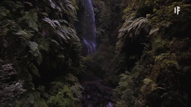 ¿Qué pasaría si vivieras 50 años en el futuro? смотреть онлайн