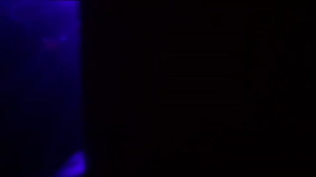 Russian Night Life смотреть онлайн