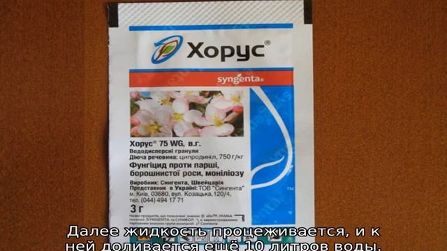 Почему у груши скручиваются листья в трубочку смотреть онлайн