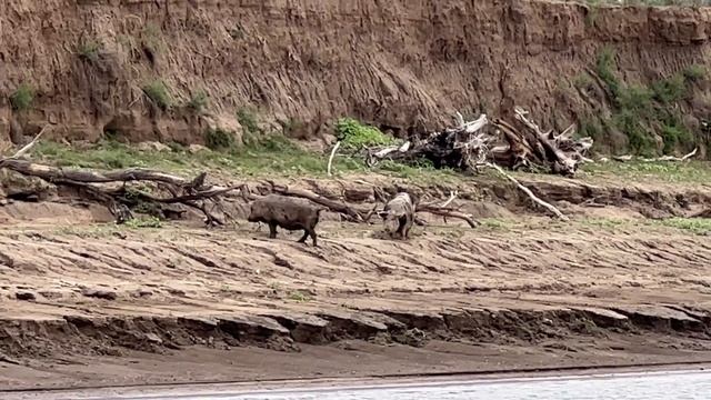 ТАКОЙ РЫБАЛКИ У НАС ЕЩЁ НЕ БЫЛО | ТРЕНИРОВКИ К GRUNDENS PAL OPEN 2023 | ЧАСТЬ 2