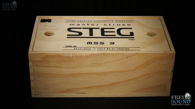 STEG MSS-3 VIDEO PHOTO CATALOG 4K (FNS) смотреть онлайн