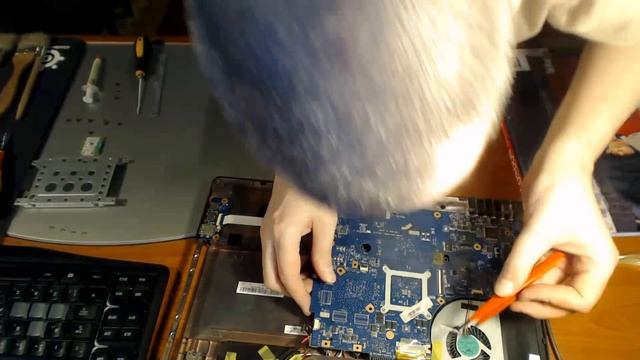 Disassembly Asus K55N SX011D смотреть онлайн