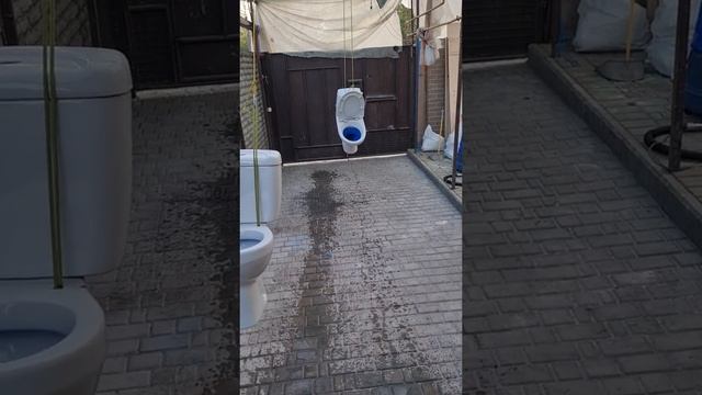 Трезвый водитель