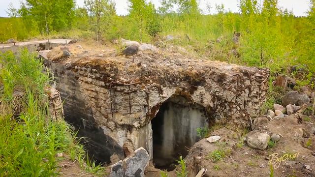 Главное внедорожное событие лета 2018 - фестиваль Внедорожные Белые Ночи смотреть онлайн