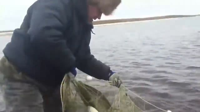 Как сохранить природу смотреть онлайн