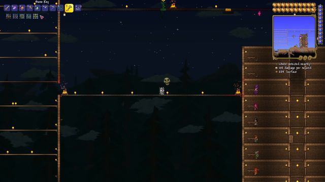 How to remove your pet in Terraria смотреть онлайн
