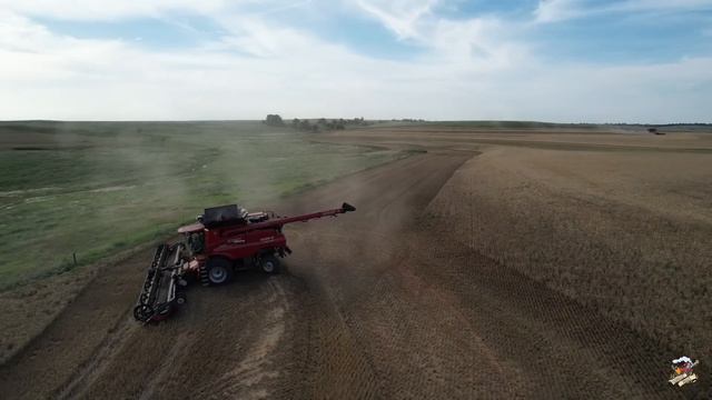 Wheat Harvest 22 near Anthony Kansas with Paplow Harvesting смотреть онлайн