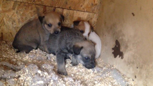 Вы за нами соскучились? смотреть онлайн