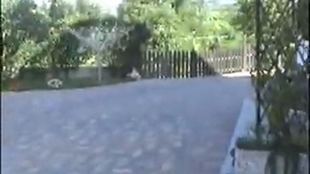 Rosamunda смотреть онлайн