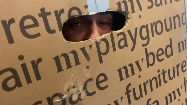 MY BRO GOT “STUCK” IN A BOX - PRANK смотреть онлайн