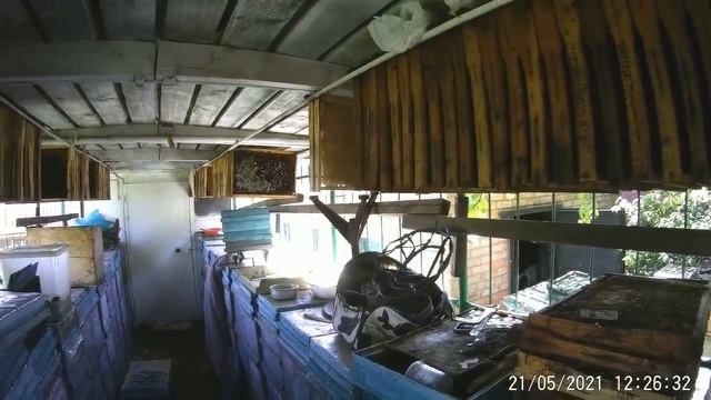 УРА!!! 21.05.21 БЕЛАЯ АКАЦИЯ -МОЩНЕЙШИЙ ВЗЯТОК. смотреть онлайн