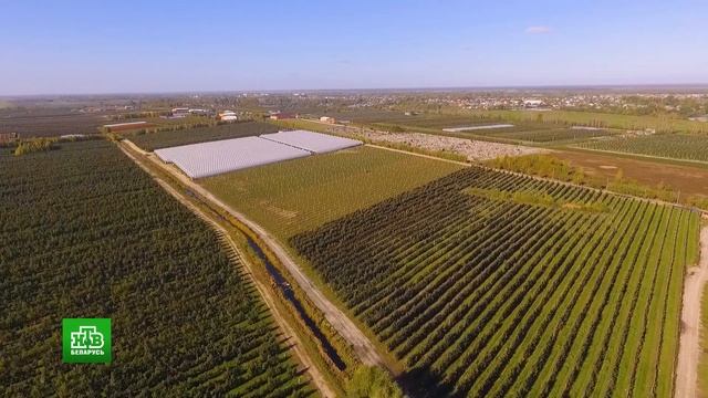 Клубочки с грибочками, малиновый рай и лещ из печи. Давид-Городок, Ольшаны, Туров. Еда- хоть куда! смотреть онлайн