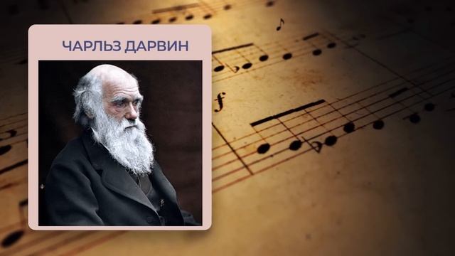 17 октября 2022 Разговоры о важном классный час в 1 и 2 классе смотреть онлайн