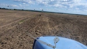 Посев льна масличного, подкормка пшеницы...