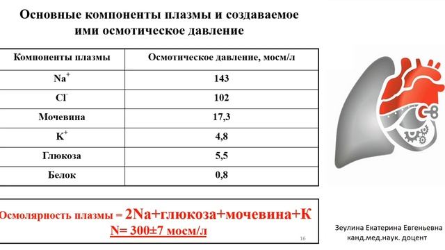 Н.с. и и.т. инфекционных заболеваний на догоспитальном этапе у взрослых. Зеулина Е.Е. смотреть онлайн