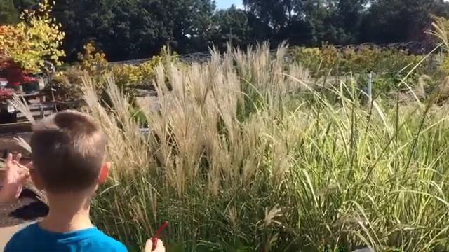 АМЕРИКА Весёлая суббота. Первый день осени. ??? смотреть онлайн