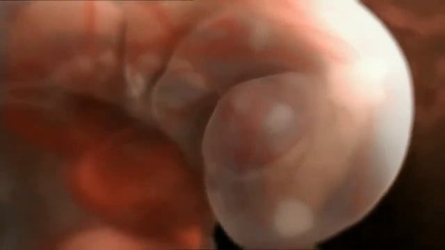 Зарождение новой жизни , фантастическое видео зачатия ребёнка смотреть онлайн