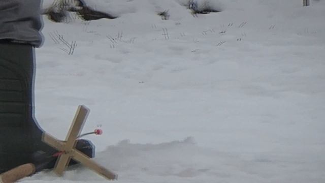 Видео зарисовки . Рыбалка в Усадьбе Соколово 26.01.2018. смотреть онлайн