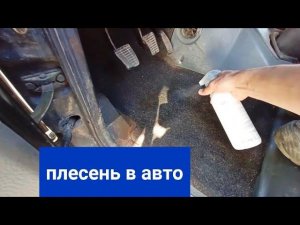 Плесень в УАЗ Патриот под ковриками и в салоне авто.