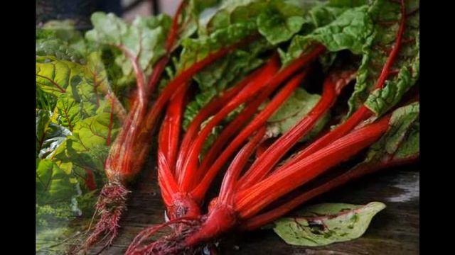 МОРКОВЬ - ФРУКТ??? или ИСТОРИЯ И СИМВОЛИКА ГОРОШКА, СВЕКЛЫ, КАРТОШКИ, ОГУРЦОВ И МОРКОВИ смотреть онлайн