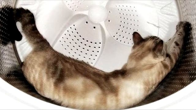 Места с плохой энергетикой в доме смотреть онлайн