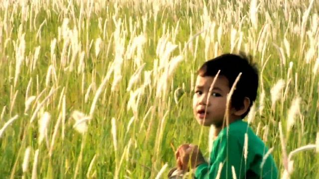 Hasil video kamera Fujifilm Finepix hs35exr смотреть онлайн