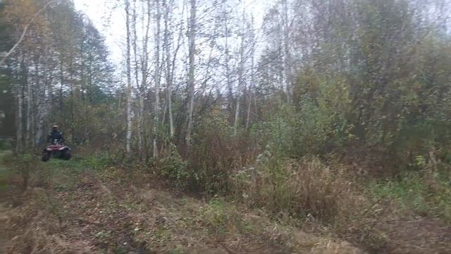 Honda trx 680 ходом в болото смотреть онлайн