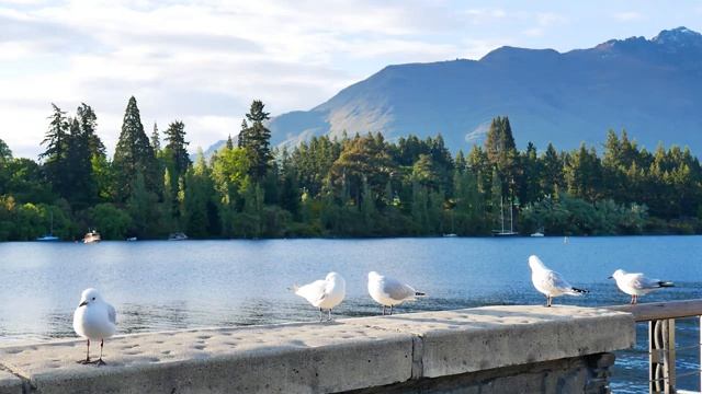 Yспокаивающая музыка для нервов ? лечебная музыка для сердца и сосудов, релакс, музыка для души смотреть онлайн