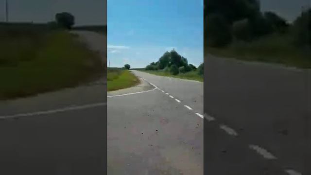 путешествие на дачу... смотреть онлайн