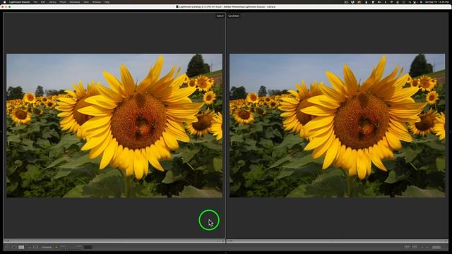 TOPAZ PHOTO AI (Early Access Version 0.10.1) FIRST LOOK at the New "SUBJECT MASK REFINEMENT" смотреть онлайн