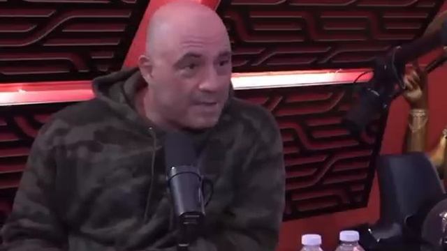 This Is Why Judo Is The Best Martial Art - joe rogan judo смотреть онлайн